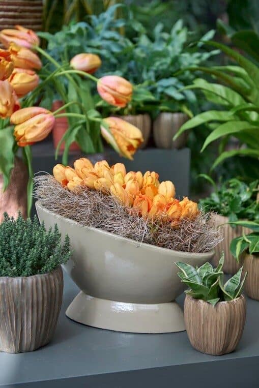 Product Image Gallery