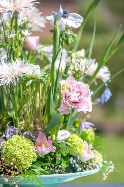 Product Image Gallery