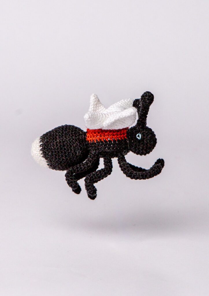 Product Image Gallery