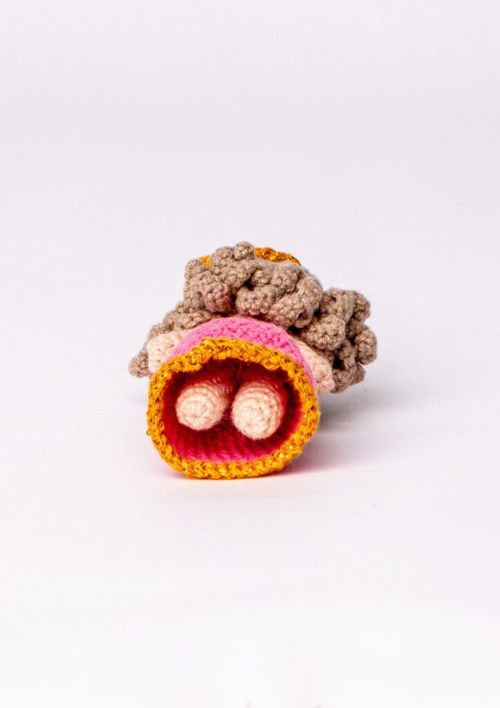 Product Image Gallery